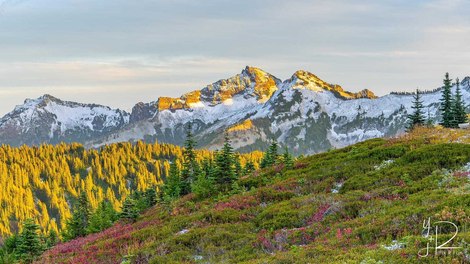 Sunlit mountain peaks above golden larches at sunset